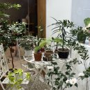 법원로3길 23 이미지