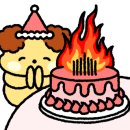 하고메 용인구성역점