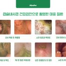 로얄동물메디컬센터 강동 이미지