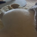 도그헬퍼 이미지