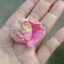 강화농약종묘사 이미지