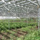 발전농장 이미지