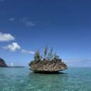 또수영 | [신혼여행] 모리셔스 | 돌고래 수영 (aka.돌핀 스윔) 후기 및 예약 방법