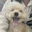 (주)바우라움 이미지
