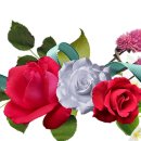 RoseDay 이미지