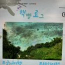 홈페이지형 여행 블로그 스킨 제작 방법 블루닛 디자인 가격 할인