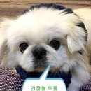 연세오원석신경과의원 이미지