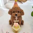 댕파티셰 이미지