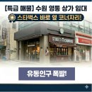 본수원공인중개사사무소 | 🌟 [수원 영통 상가 임대] 유동인구 폭발! 스타벅스 바로 옆 코너자리 특급 매물 (드림피아빌딩 1층)