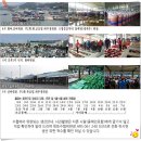 8월21일,먹갈치,병어,덕자,참돔,우럭,광어,밴댕이,간재미,복어,기타생선 경매입니다. 이미지