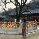 (주)에이스송도스테이 | 장성 백양사 템플스테이 1월 다도오감명상 (체험형) 다녀온 후기