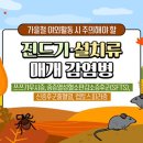 아름다운 노년(老年)의 향기(香氣) 이미지