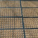 사내농장 이미지