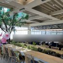 충장로282번길 | [고양 카페] 청온담 고양 화정 카페 드라이브 카페 이색 디저트 맛집 내돈내산 후기 주차 가능