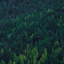 광주요양병원 이미지