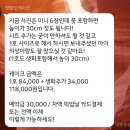 렛뎀잇케이크 이미지