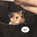 안녕;폰 이미지