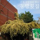 동방횟집 네이버블로그