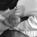 백두동물병원 이미지