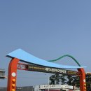 제주민속오일장 | 제주 민속오일장 땅꼬분식, 모종 구입 후기