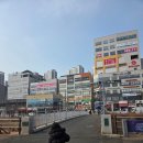 악쓰는하마 코인노래연습장 이미지