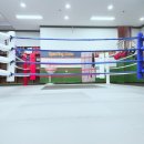 더파이팅 복싱짐 이미지