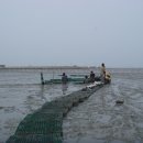 선정은하수꼬막마을 이미지