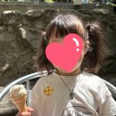 토일 | 포천 토일농원 후기｜5살 아이와 다녀온 체험농장