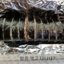 김밥대학라면학과