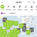 고고판다 이미지