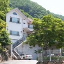 숲속의 산책 이미지