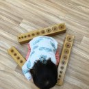 중산동지수학과학전문학원 | 🌱 영유아 학원 선택? '연령'과 '환경'이 아이 미래를 결정합니다! (울산 북구 몬테소리)