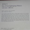 숲놀이 지도사 이미지