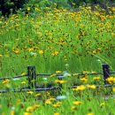 곤명생태학습장 이미지