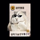 2023 우정행정 합격 그 이후 타임라인 ••• 연수원, 현직생활 etc