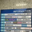 조순금닭도리탕 | 안산 밥집 상록수역 맛집 조순금닭도리탕 N번째 방문 후기