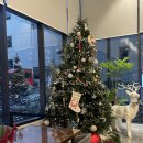 강남-253 이미지