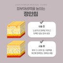 정안이네 이미지