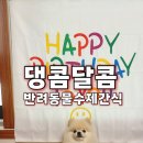 (11/22)반려동물 수제간식 고구마쿠키 | 김포반려동물케이크 주문 후기 | 김포 반려동물수제간식 댕콤달콤 다다 생일케이크 🎂🐶