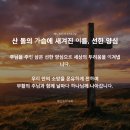 [주일설교동영상] 산돌의 가슴에 새겨진 이름, 선한 양심 | 벧전 3:13~22 | 2026.8.9 | 예산수정교회 이몽용 목사 이미지