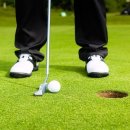 엘리트핏24 골프 이미지