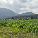 천동리 마을회관 이미지