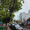 내장죽, 김청, 반미판, CCCP커피, 화이트스파앤네일, 담시장 질러팬티, 샤오커오라, 목식당, 바나나튀김...