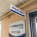 법인아라
