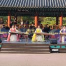 지금은 K-OTT 시대 | &#34;전 세계 반한 K판소리&#34; 월드판소리페스티벌, 뭔데?