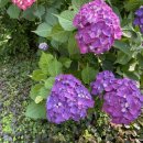 CU전주여울점 이미지