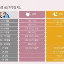 황금주먹고기