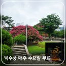 기획전시_새로운 조형주의 | 덕수궁 매주 수요일 무료 관람 시작 석조전 배롱나무와 돈덕전 기획 전시 고궁 산책