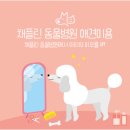 채플린동물병원 이미지