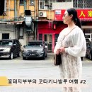 꽃돼지 티스토리